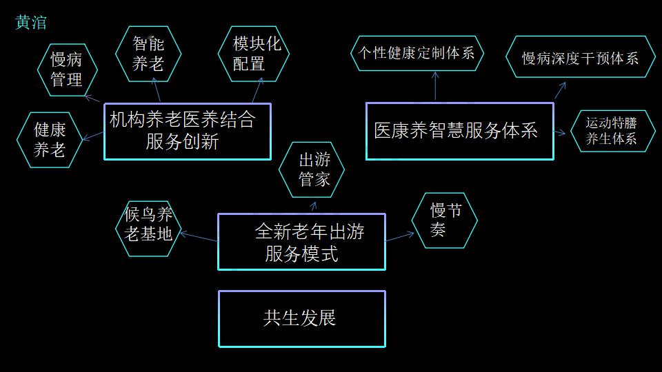 构建完善的养老服务体系，应对老龄化社会的挑战，应对老龄化挑战，构建完善的养老服务体系